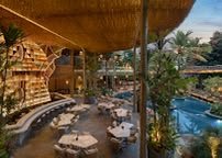 Tropical Poolside Restrobar